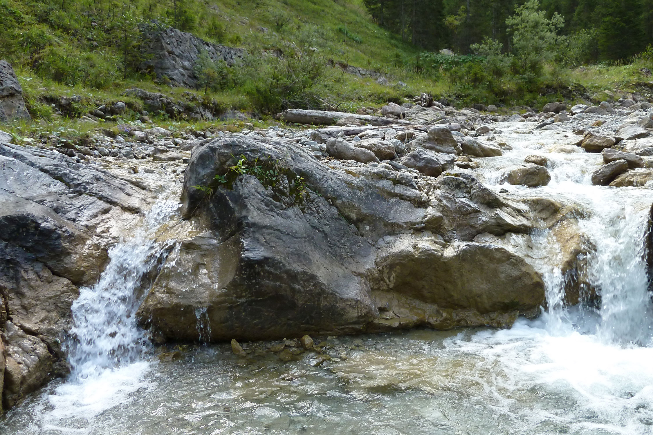 Außergewöhnliche Urlaubsangebote im Tannheimer Tal in Tirol